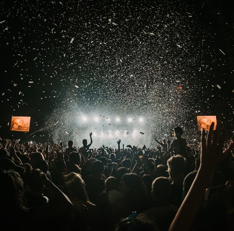 Crowd at a live performance